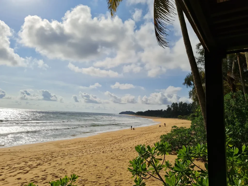 Aktiviti Laut dan Menyelam di Pulau Tenggol