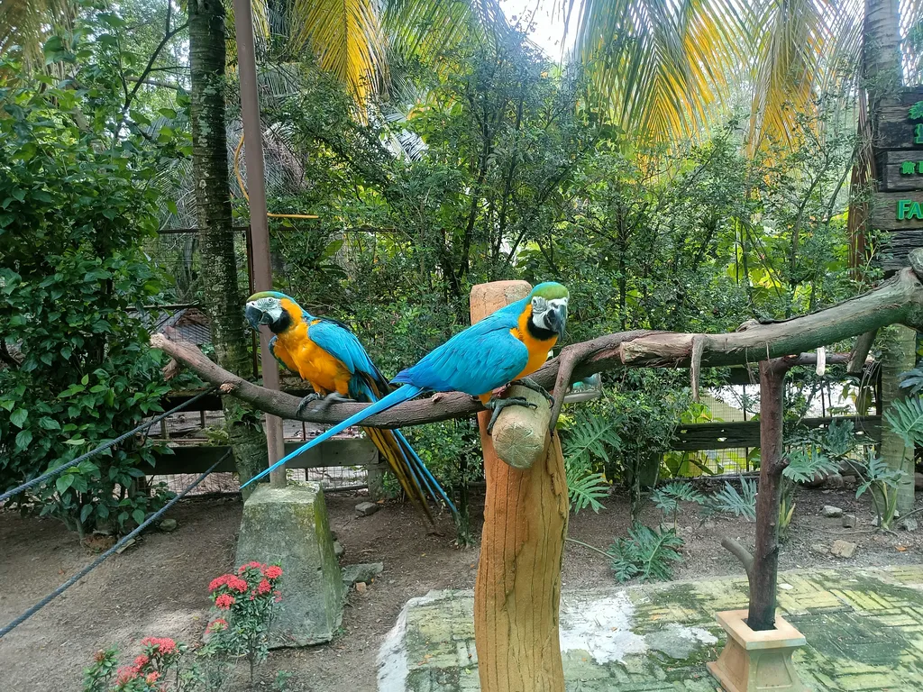 Bird Aviary Farm in The City