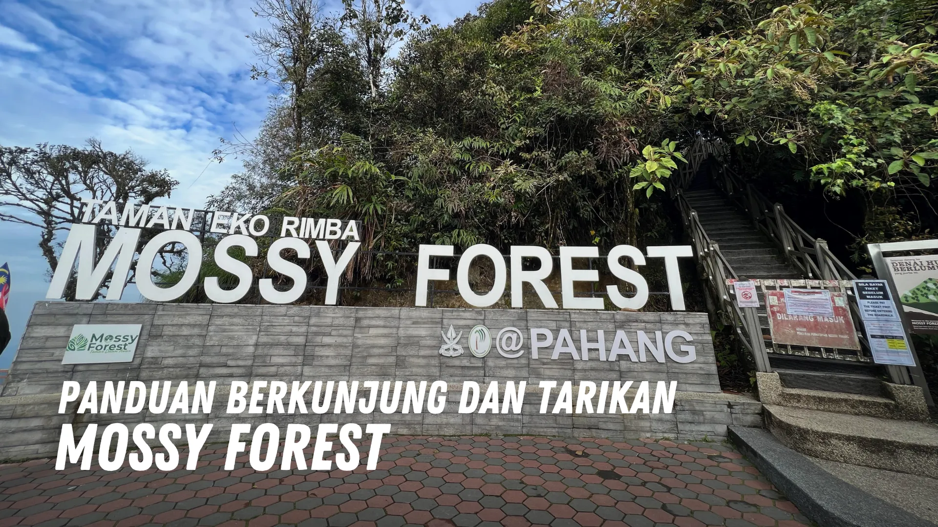 Review Mossy Forest Malaysia