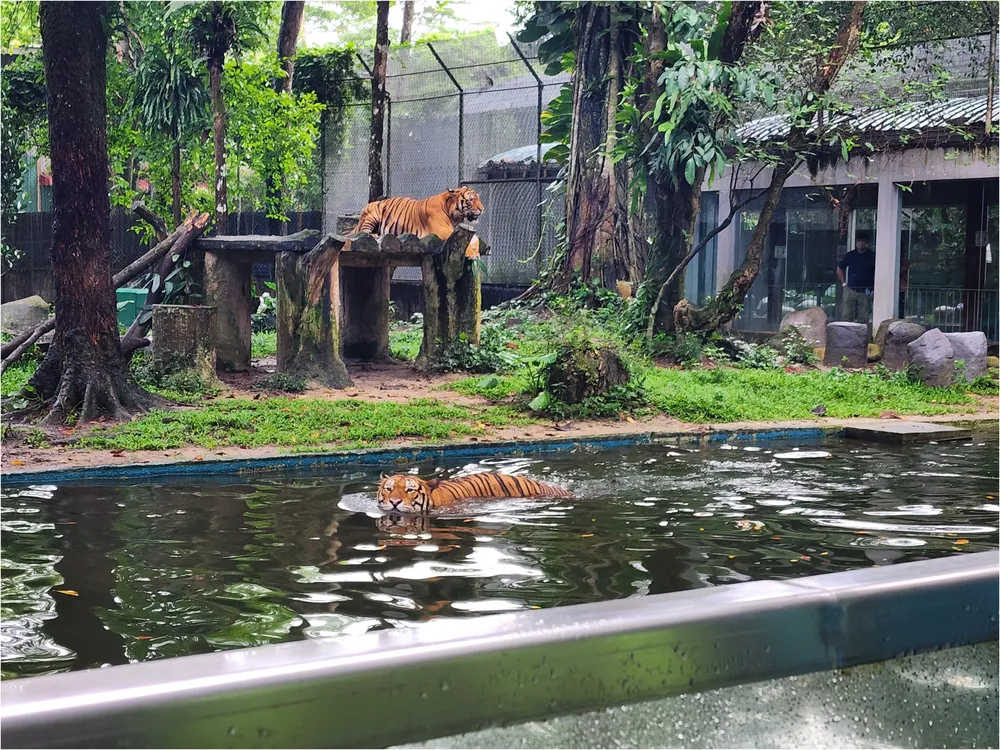 pandupelancong.com Zoo Negara Tarikan Utamagooglemaps @Nik Hafizi Ibrahim