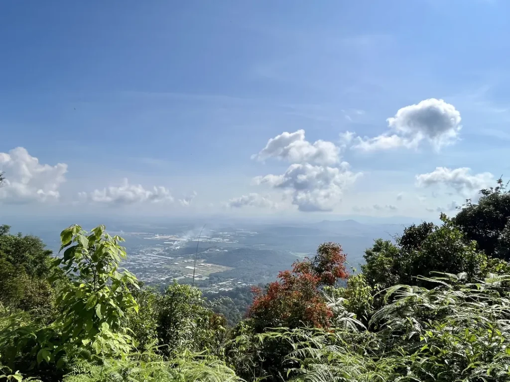 Keindahan Pemandangan dan Flora di Gn. Lambak