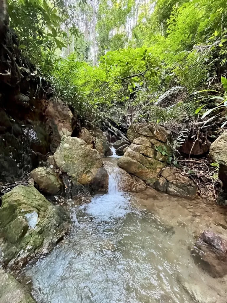 Kembara Alam Eksplorasi Gunung Lambak