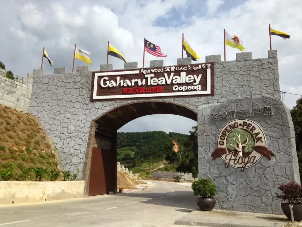Gaharu Tea Valley