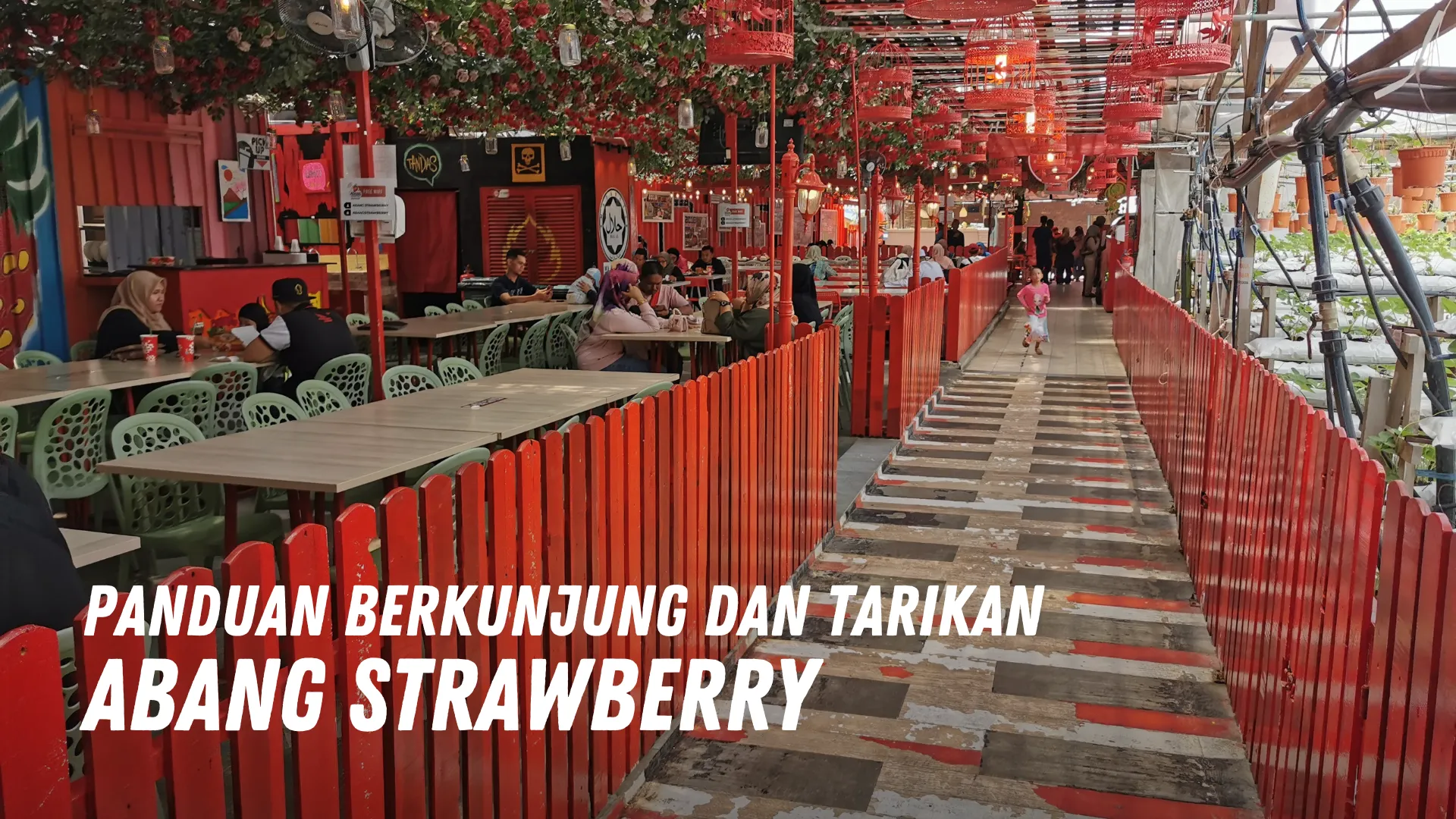 Review Abang Strawberry Malaysia