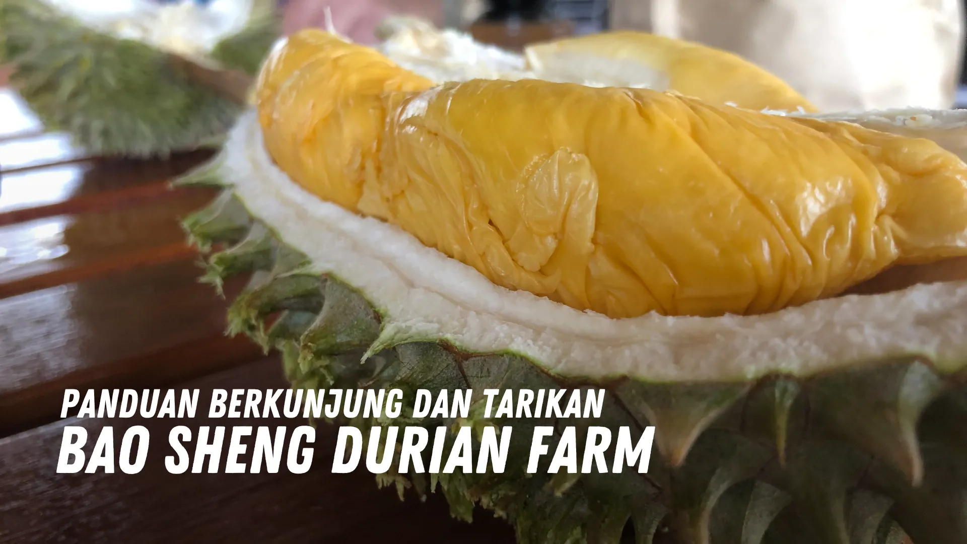 Review Bao Sheng Durian Farm Malaysia
