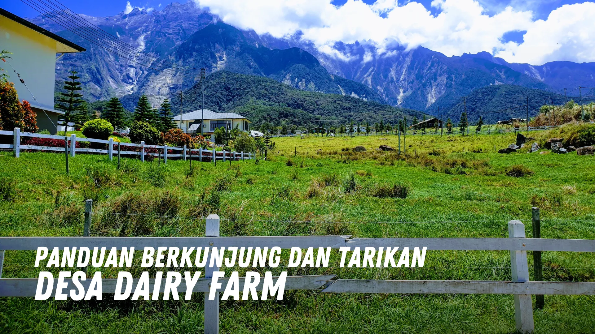 Review Desa Dairy Farm Malaysia