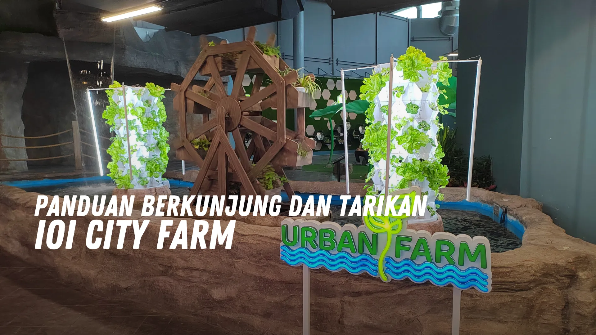 Review IOI City Farm Malaysia