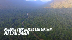 Review Maliau Basin Malaysia