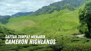 Review Tempat Menarik di Cameron Highlands Malaysia