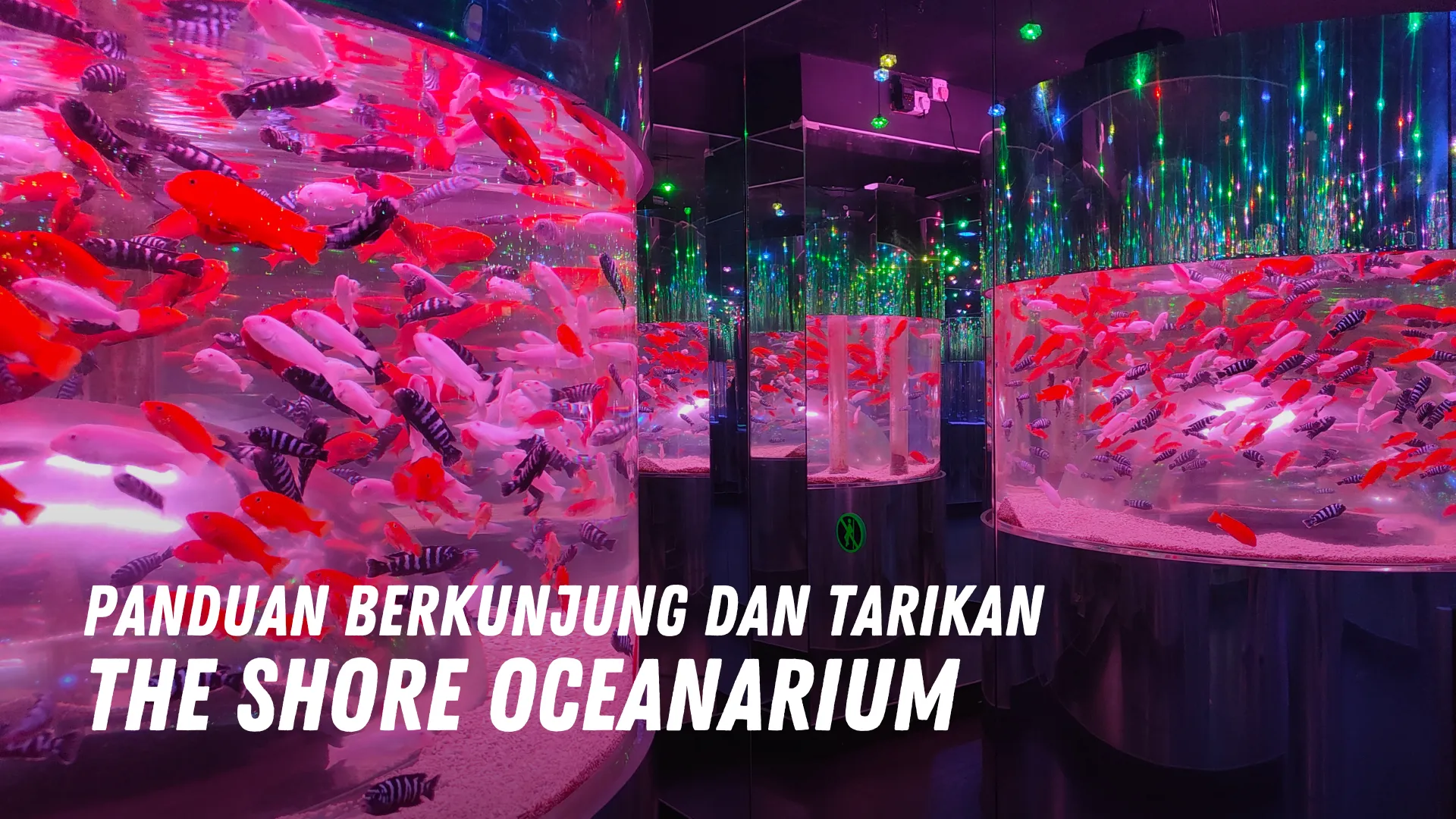 Review The Shore Oceanarium Malaysia