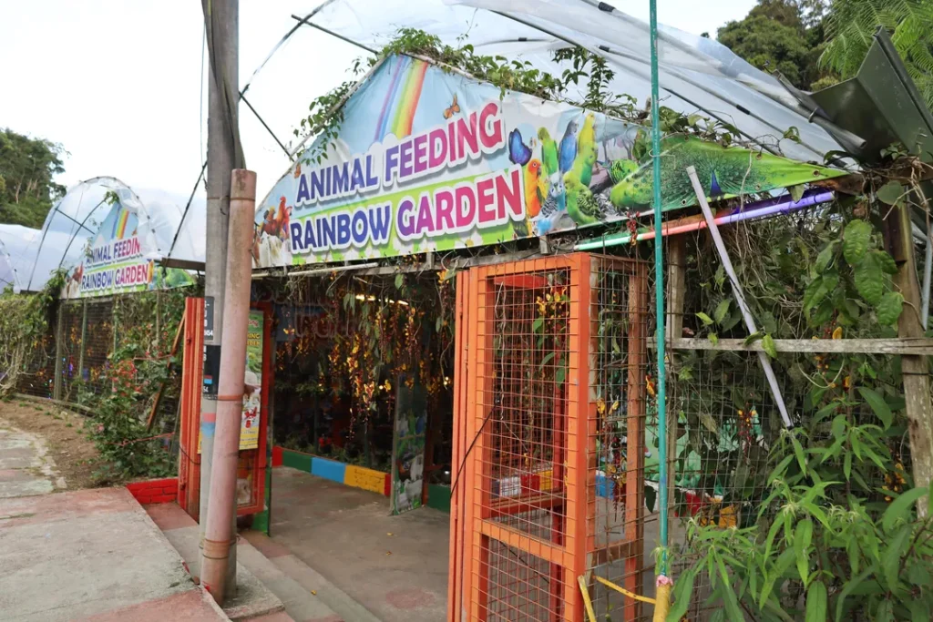 Tempat Menarik di Cameron Highlands Animal Feeding Rainbow Garden