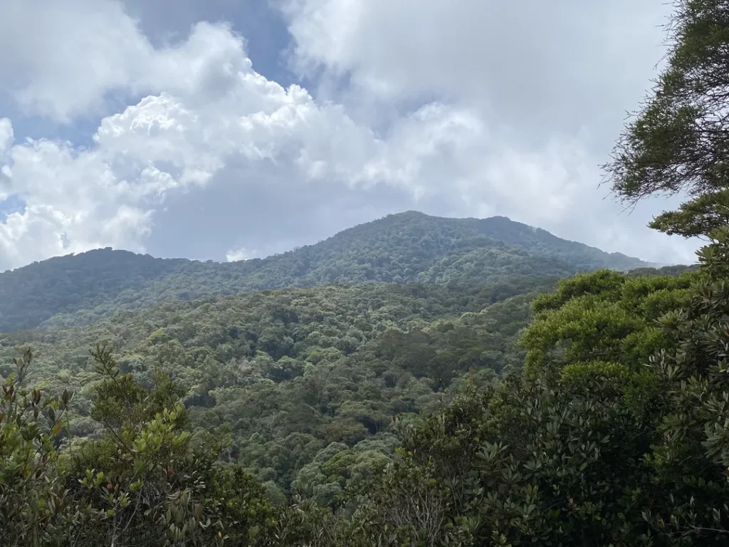 Tempat Menarik di Cameron Highlands Gunung Irau