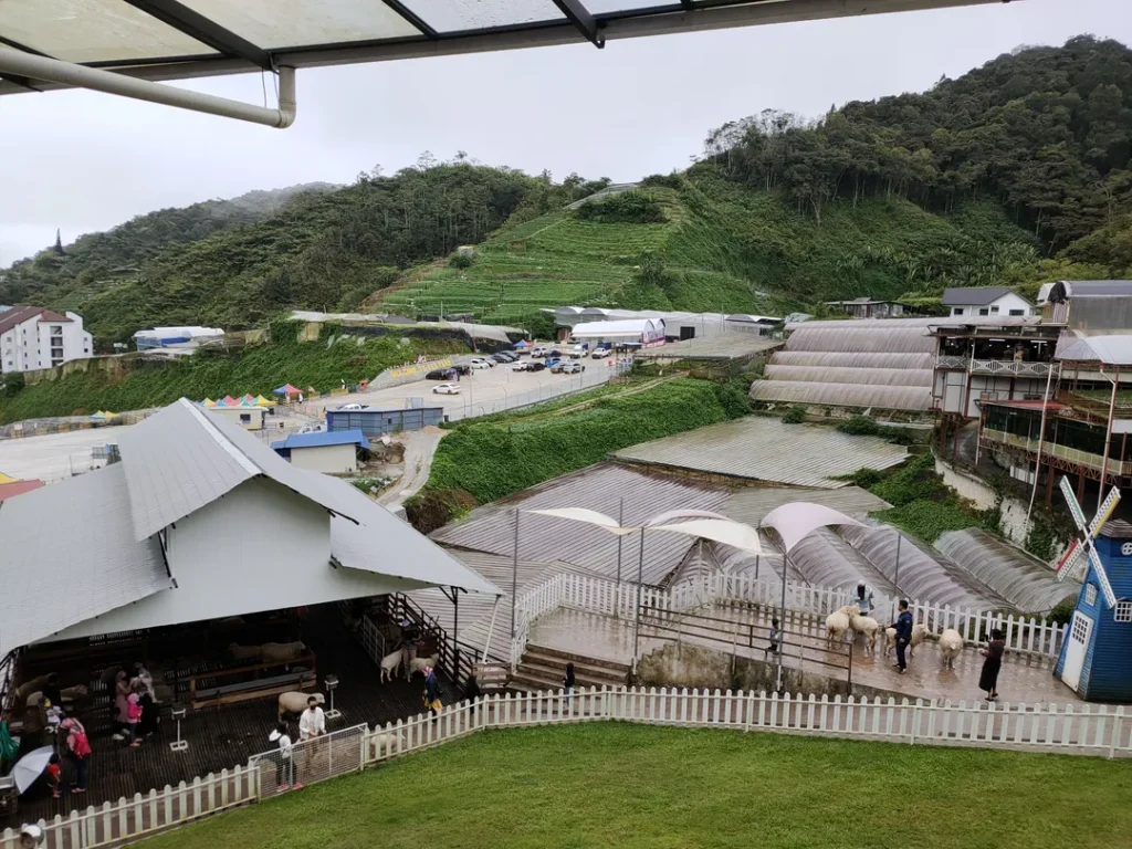 Tempat Menarik di Cameron Highlands The Sheep Sanctuary