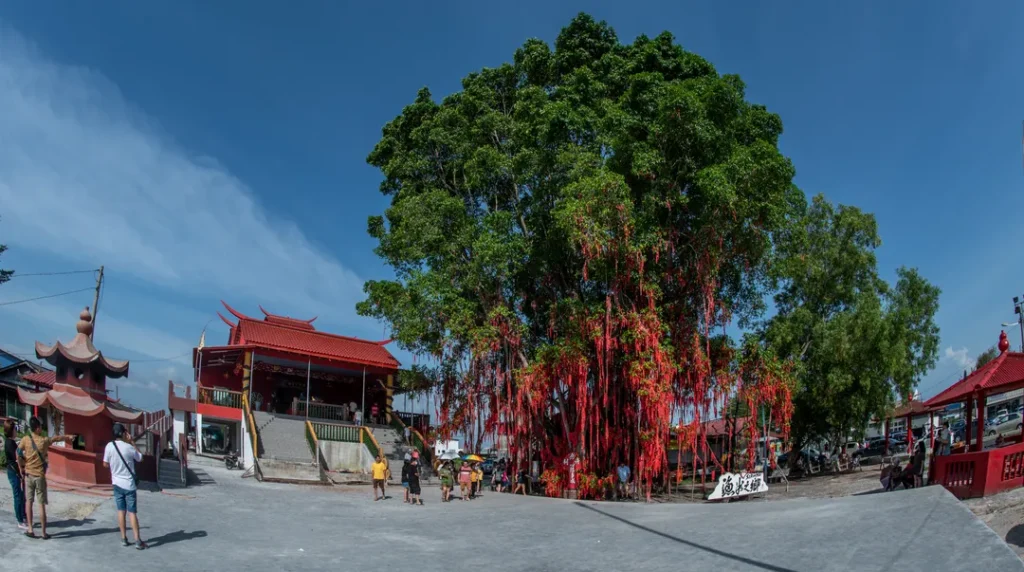 Tempat Menarik di Sekinchan Sekinchan Wishing Tree