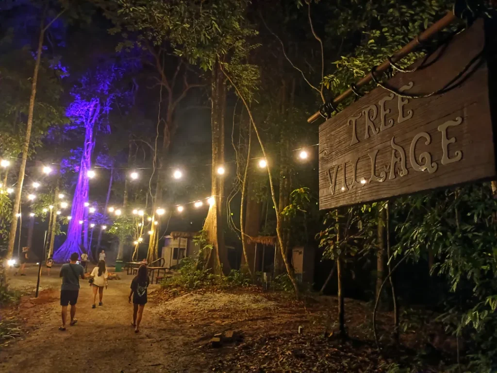 Aktiviti dan Pengalaman di Dream Forest