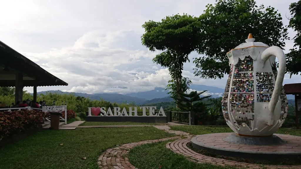 Fasilitas dan Akomodasi di Sabah Tea