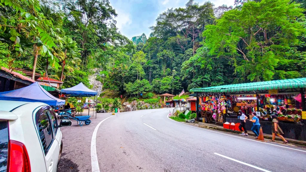 Flora dan Fauna di Sekitar Lata Iskandar