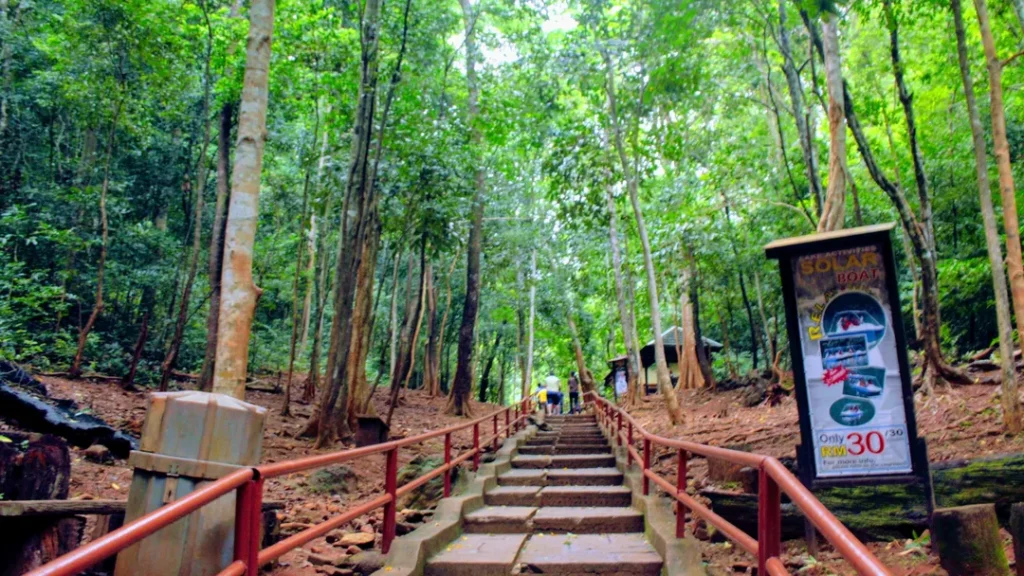 Flora dan Fauna di Sekitar Tasik Dayang Bunting