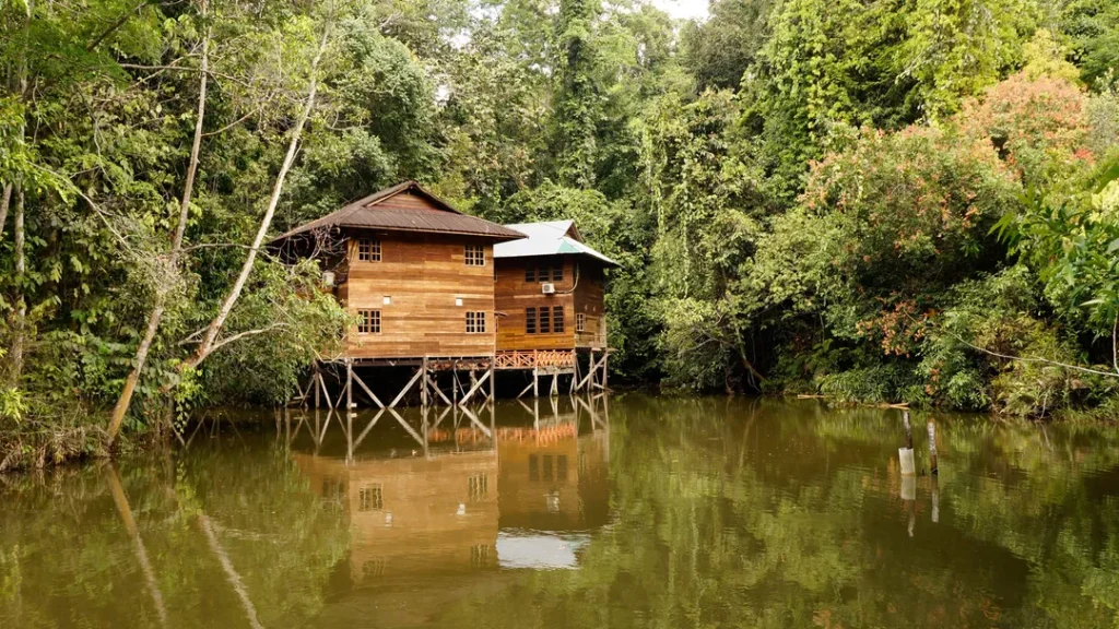 Keindahan Alam Sekitar Borneo Tropical Rainforest