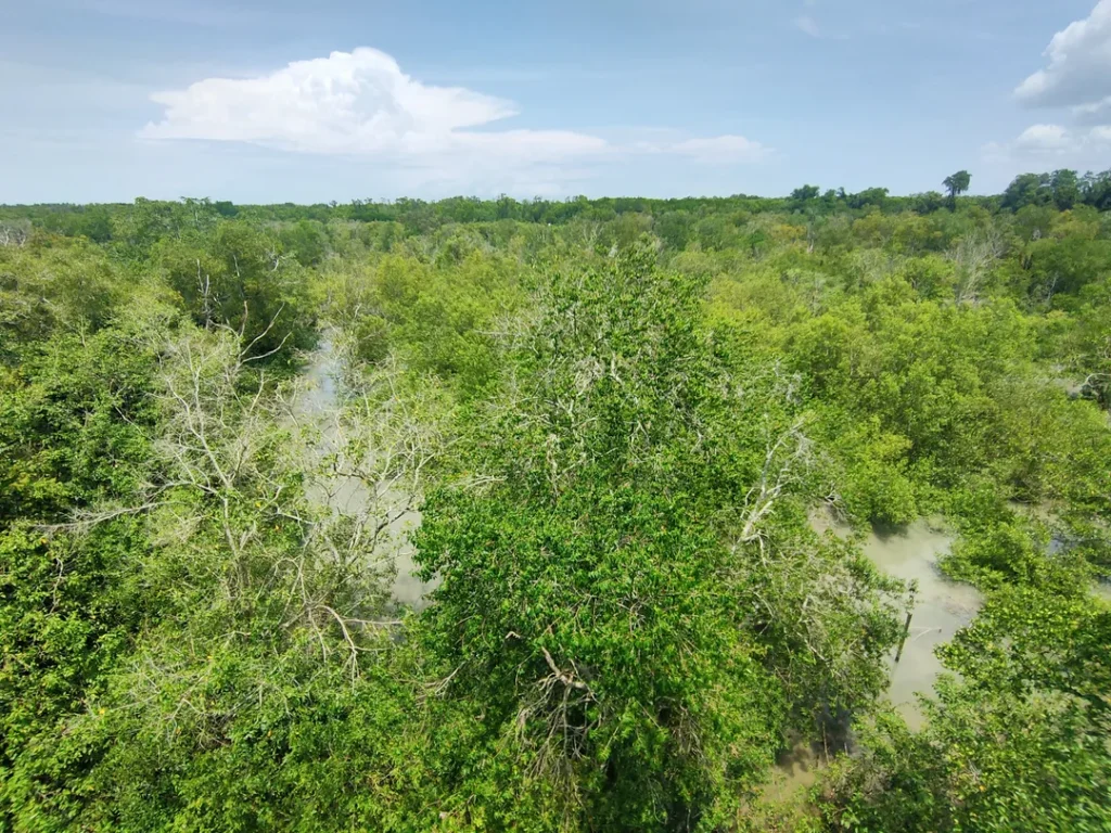 Keunikan Biodiversiti di Taman Alam