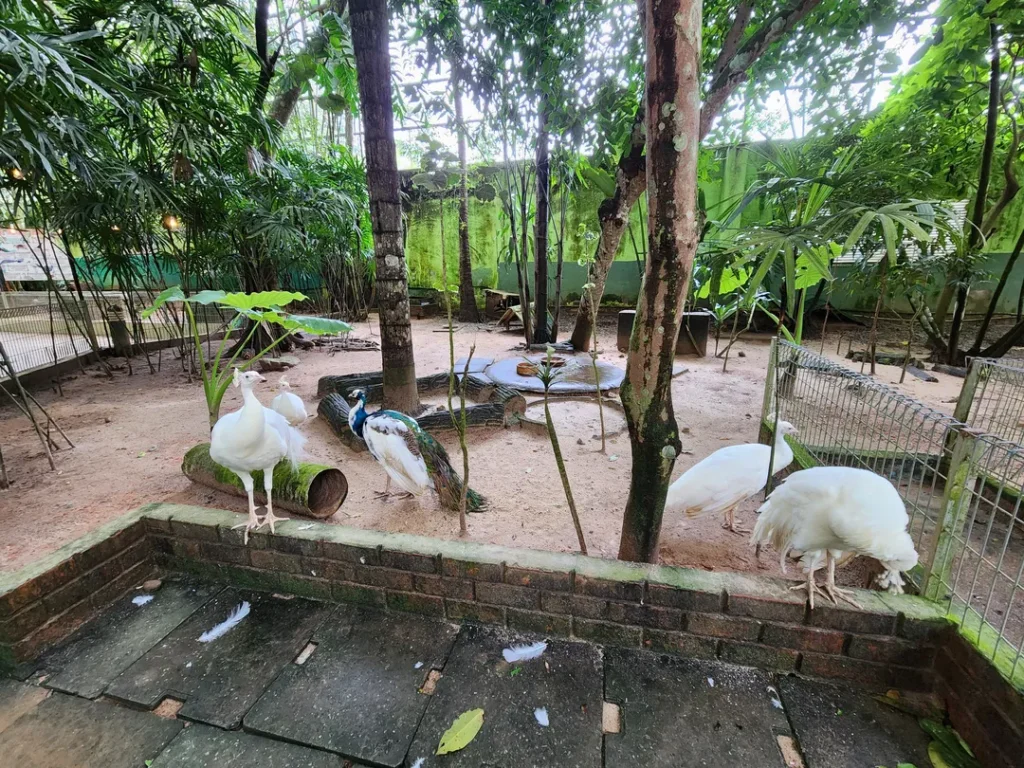 Program Adopsi Haiwan di Langkawi Wildlief Park