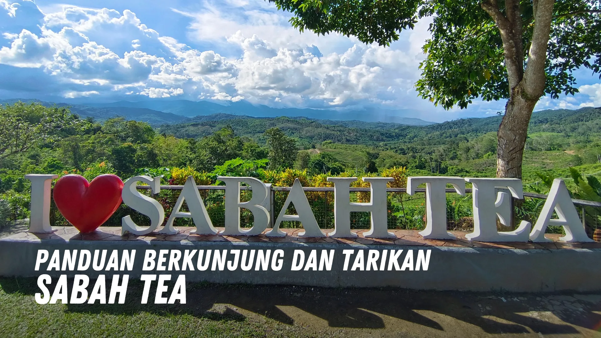 Review Sabah Tea Malaysia