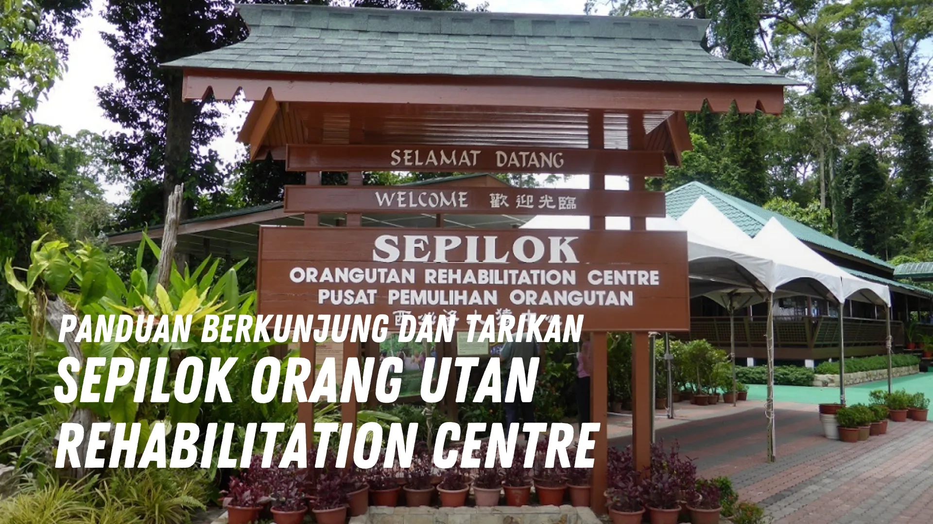 Review Sepilok Orang Utan Rehabilitation Centre Malaysia