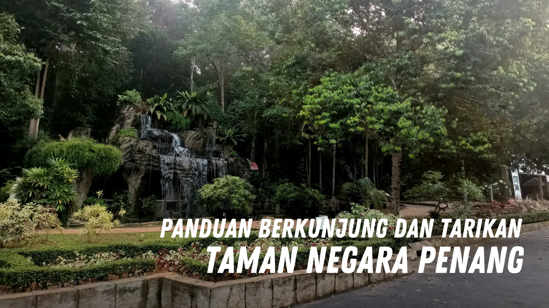 Review Taman Negara Penang Malaysia