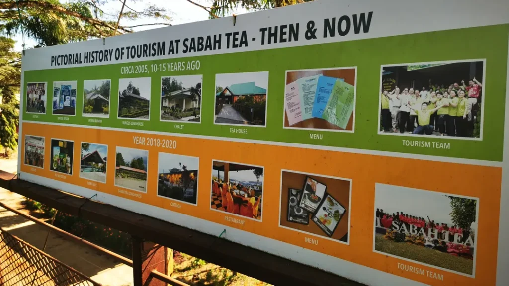 Sejarah dan Warisan Sabah Tea