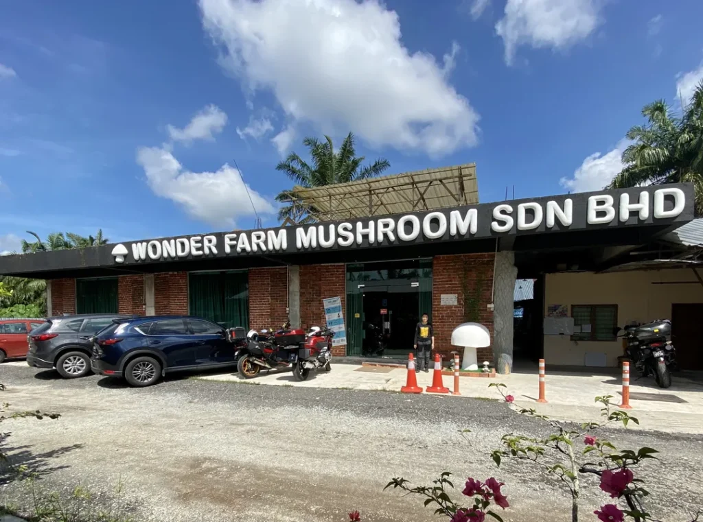 Tempat Menarik Near Taiping Wonder Fa Mushroom
