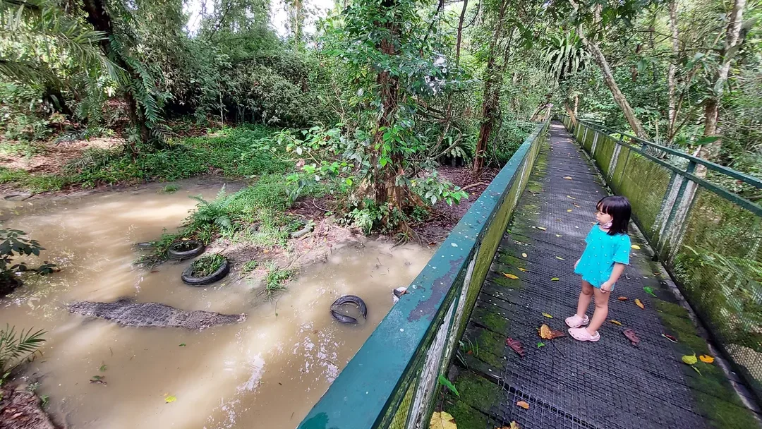 Tempat Menarik di Kuching Jong Crocodile Farm