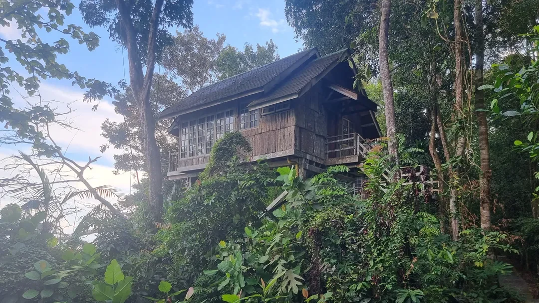 Tempat Menarik di Kuching Peai Rainforest Resort
