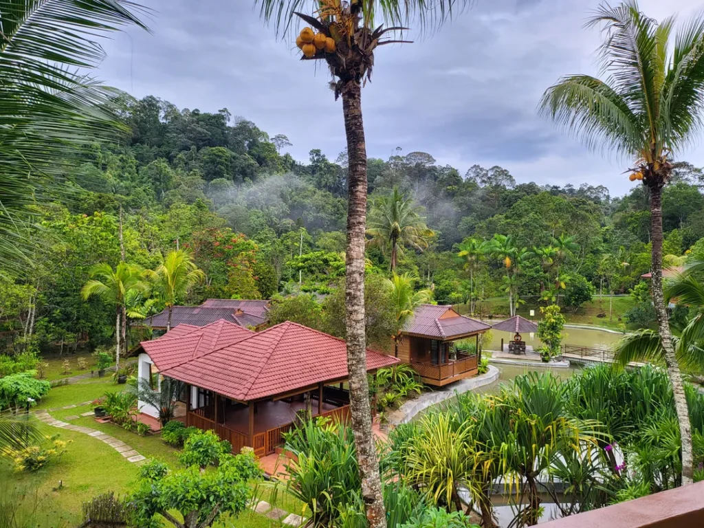 Tempat Menarik di Pahang Fifty4Ferns