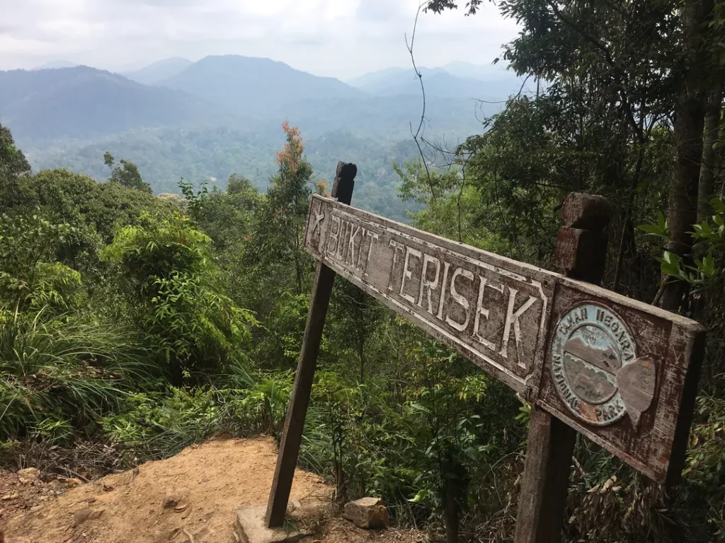 Tempat Menarik di Pahang Taman Negara Pahang