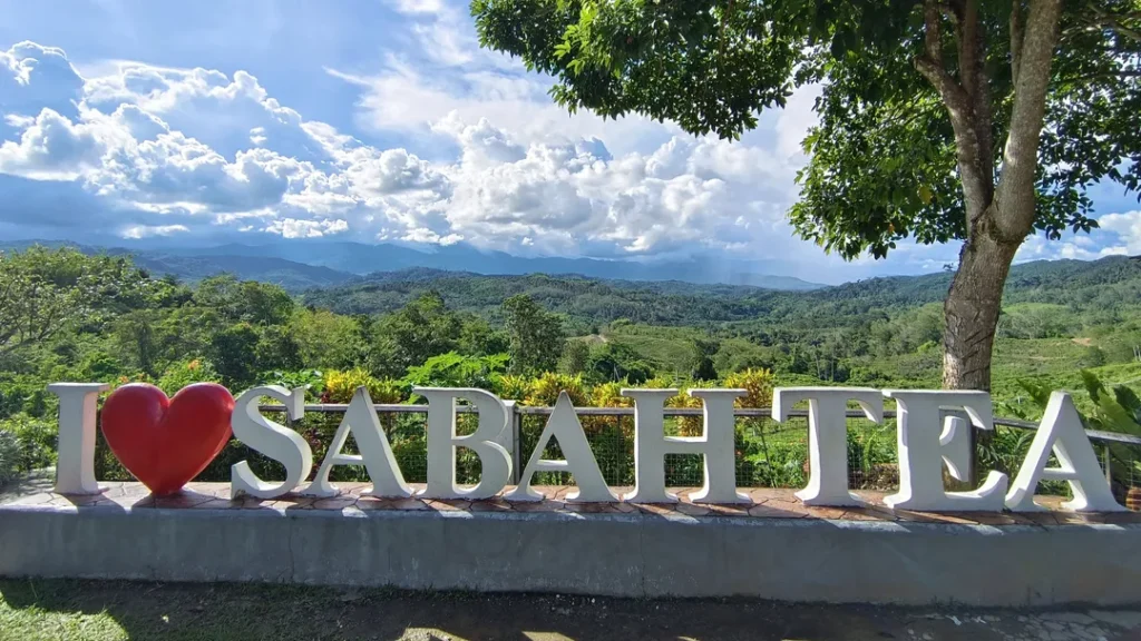 Tempat Menarik di Sabah Sabah Tea