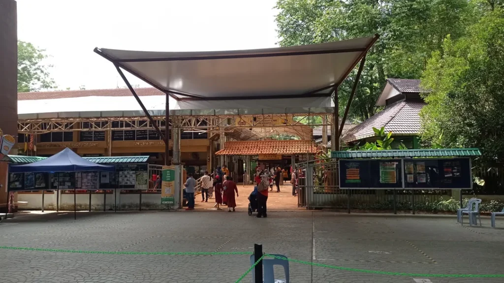 Tips dan Panduan untuk Pengunjung Zoo Taiping