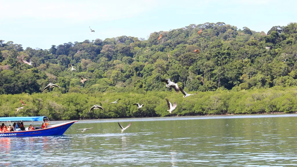 Aktiviti Menarik di Pulau Bunting