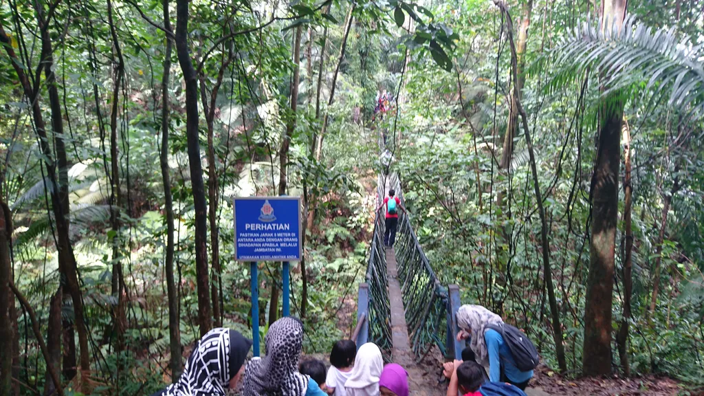 Flora dan Fauna yang Dapat Ditemui