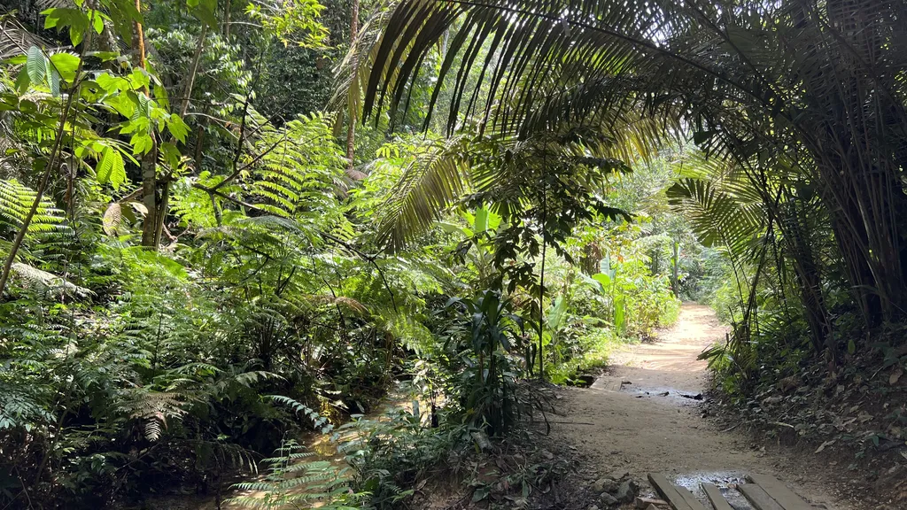 Jalur Pendakian dan Aktiviti di Taman Rimba