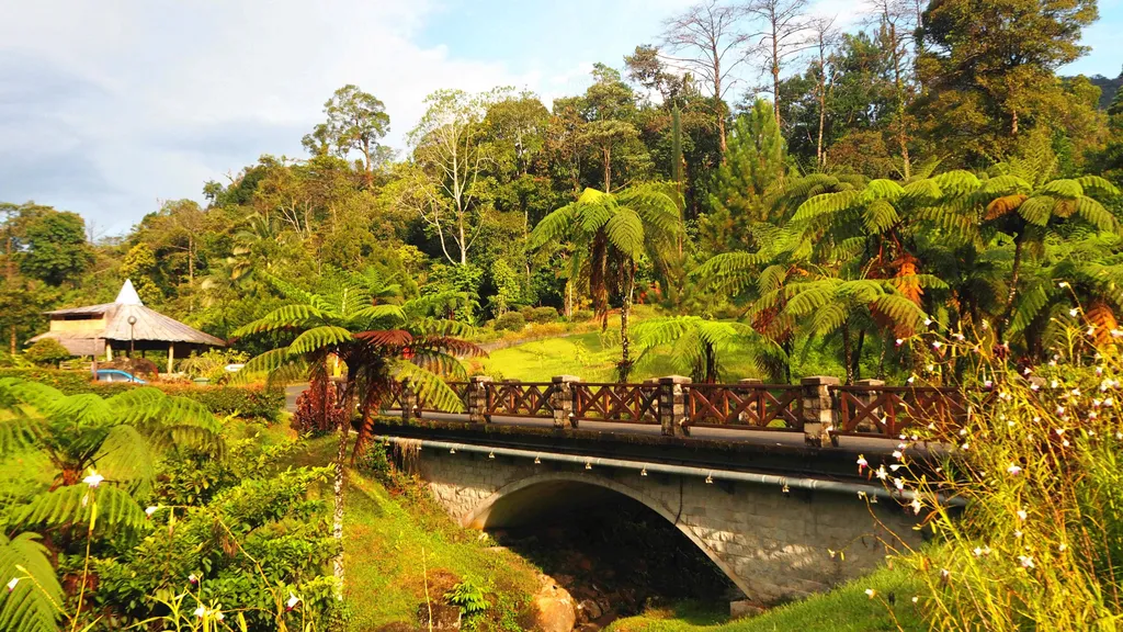 Lokasi Borneo Highland Resort dan Cara Ke Sana