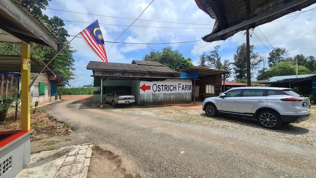 Lokasi Desaru Ostrich Farm dan Cara Ke Sana