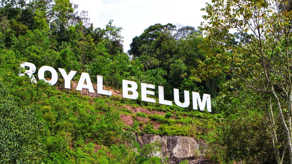 Lokasi Royal Belum State Park dan Cara Ke Sana