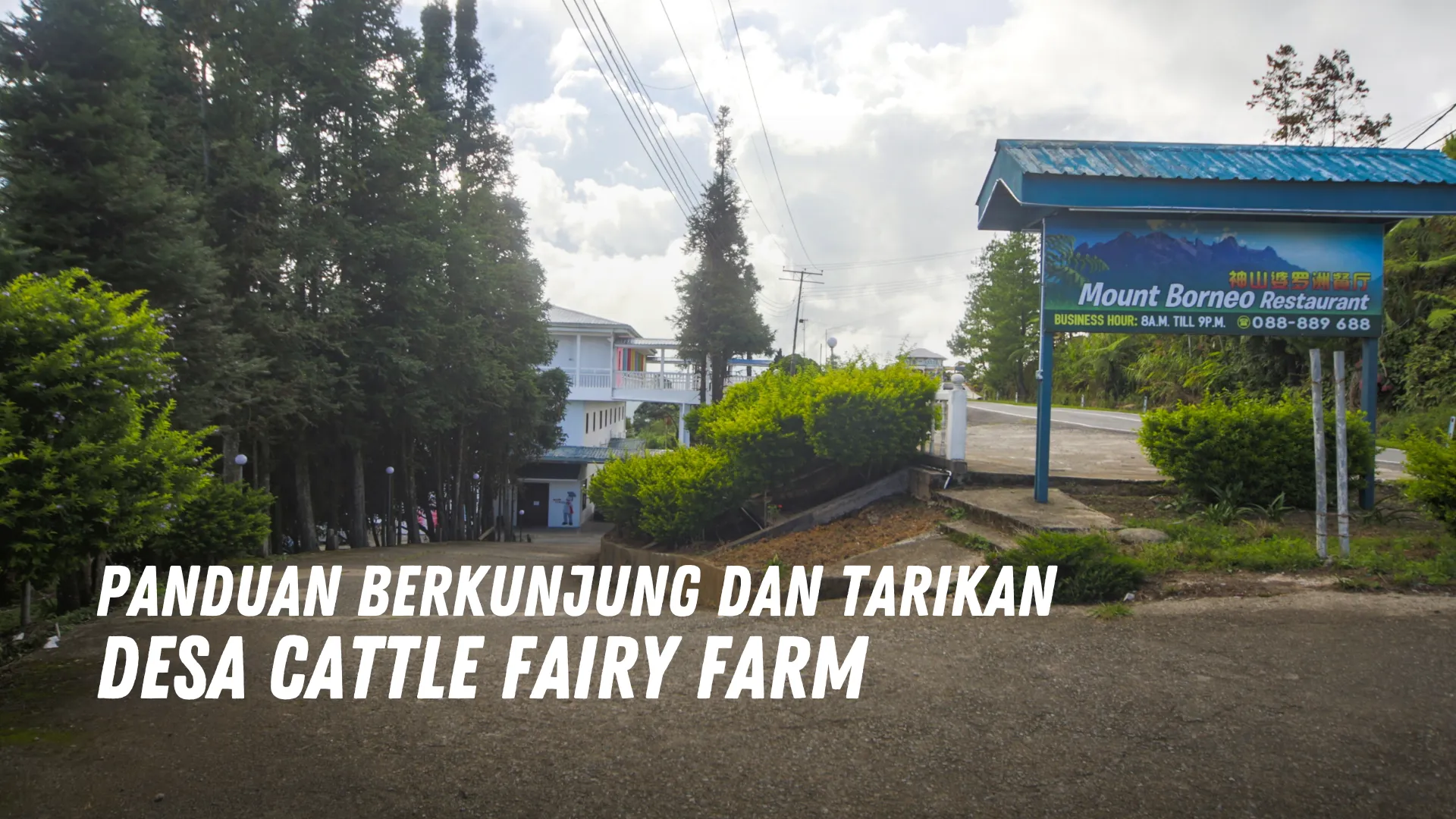 Review Desa Cattle Fairy Farm Malaysia