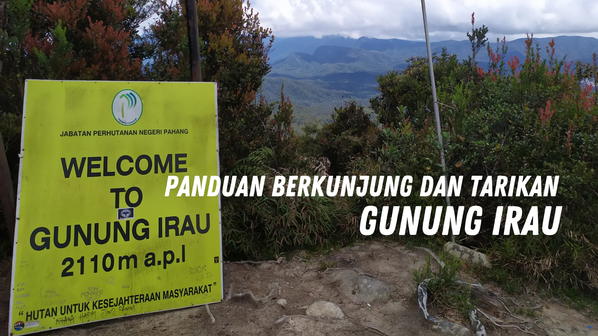 Review Gunung Irau Malaysia