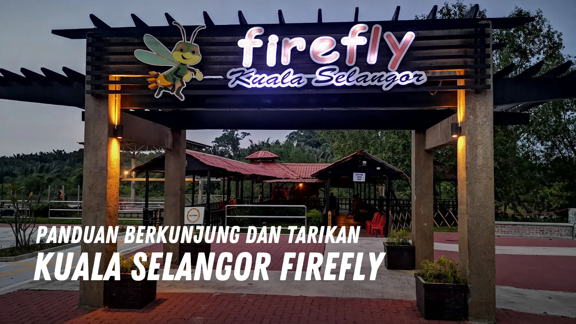 Review Kuala Selangor Firefly Malaysia