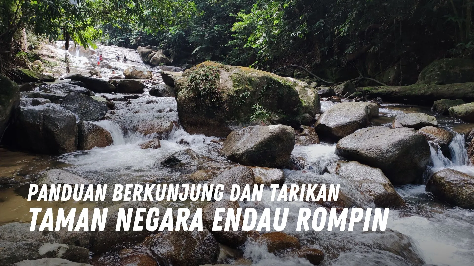 Review Taman Negara Endau Rompin Malaysia