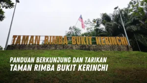 Review Taman Rimba Bukit Kerinchi Malaysia