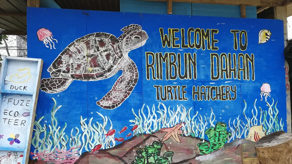 Tempat Menarik di Cherating Rimbun Dahan Turtle Hatchery