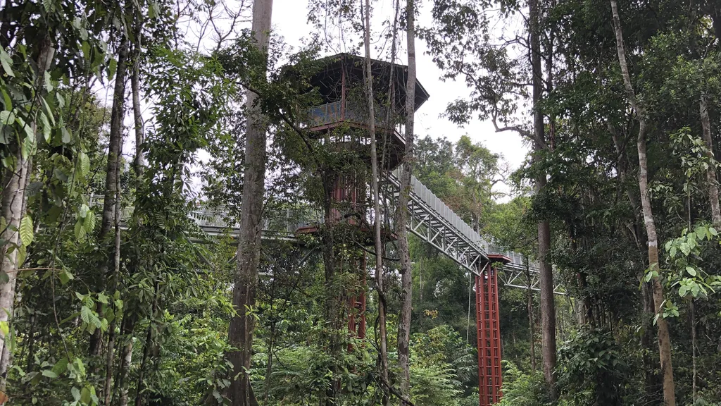 Tempat Menarik di Kuala Lipis Taman Negara Sungai Relau