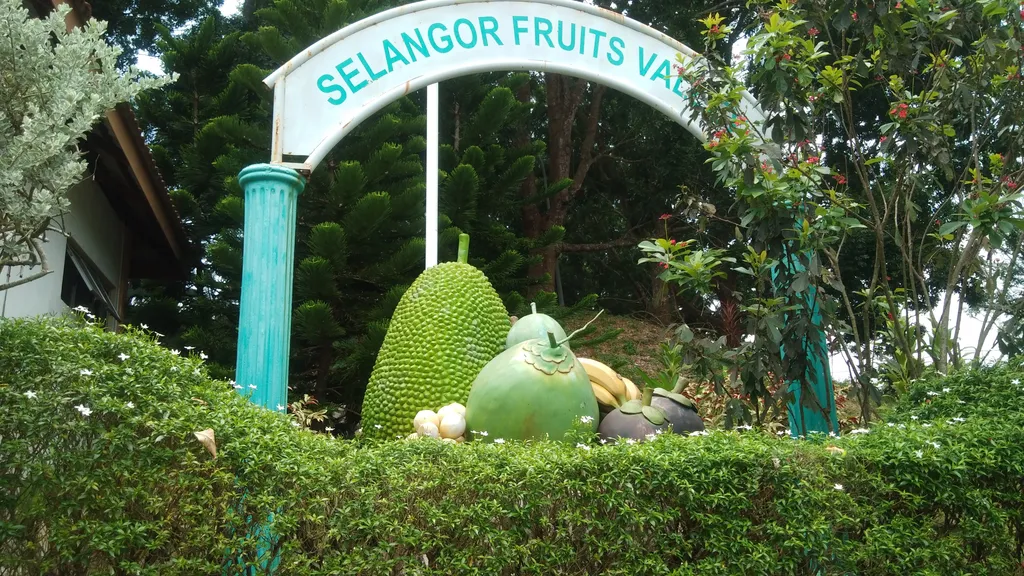 Tempat Menarik di Kuala Rawang Selangor Fruit Valley